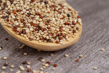 Close-up of a wooden spoon filled with mixed quinoa grains on a rustic wooden background, featuring red, white, and black quinoa. Perfect for healthy food concepts.
