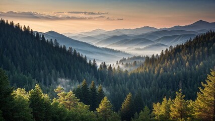 Obraz premium Morning Mountain Landscape with Forest and Pine Trees