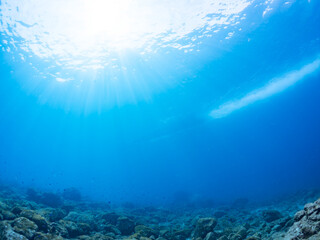 ヒリゾ浜渡船の漁船の美しい半水面撮影,
安全な水域から、中木港から出向した漁船がヒリゾ浜の船着き場に着岸するところを見ている。
船上にはダイバー達が乗っている。

静岡県伊豆半島賀茂郡南伊豆町中木ヒリゾ浜2024年
