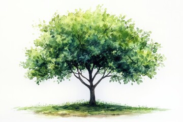 Obraz premium Vibrant Green Tree with Lush Foliage in Soft Watercolor Style