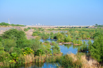 A vibrant riparian habitat along the Rio Salado with dense vegetation, flowing water, and a bridge and the Phoenix skyline the background, showcasing urban ecological restoration in Tempe, Arizona