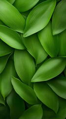 Green Leaf Illustration Background