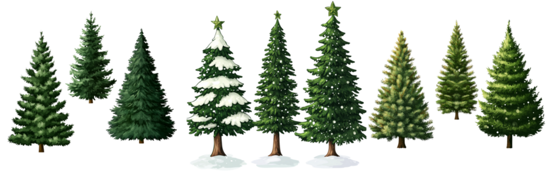 Three different Christmas trees isolated on a transparent background PNG