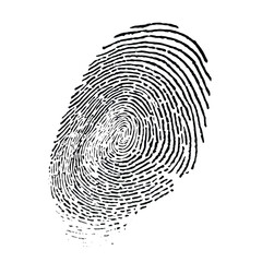 fingerprint illustration, png, white background