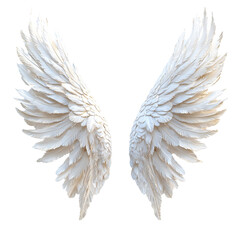 Obraz premium Fantasy Bird Wings with Soft Feathers Representing Freedom and Purity Isolated on White Background 