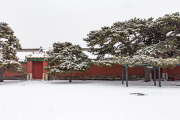 snow view of Forbidden City