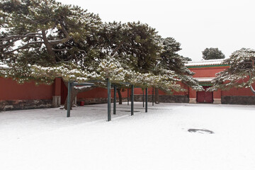 snow view of Forbidden City