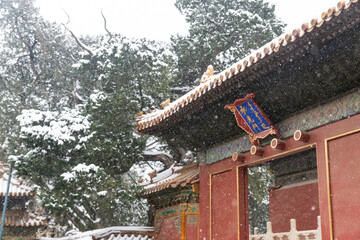 snow view of Forbidden City Imperial Garden
