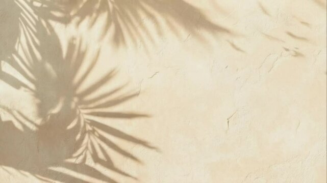 Soft, dreamy shadows of palm leaves dance on a textured beige wall, creating a serene, tropical ambiance. Video shot from a fixed overhead angle.
