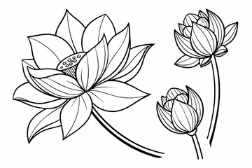 hand drawn flowers vector