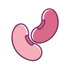 kidney beans icon design