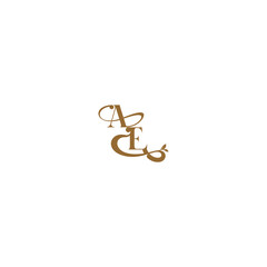 monogram wedding concept initial leaf line AE modern organic logo letter