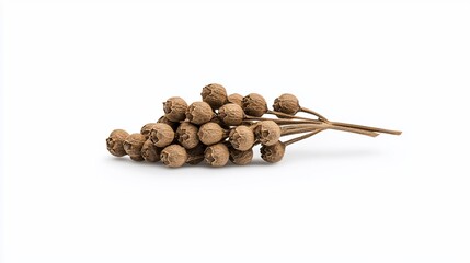 Obraz premium Dried brown peppercorns on stem, isolated.