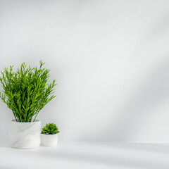 Minimalist Plant Pot Background Image