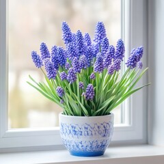 Muscari flowers in pot on windowsill, bright light