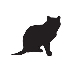 Cat silhouette in black shadow.