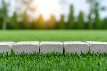 Serene Garden Path Illustration