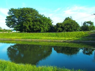 初夏の夕方の坂川放水路風景