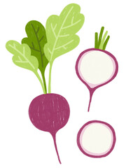 Raddish, half of a raddish and a raddish slice