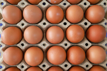 Brown chicken eggs in the cardboard egg tray with rooms for thirty eggs