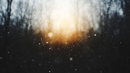 Obraz premium Winter Wonderland Sunlit Snowfall in a Forest