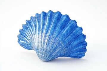 A Single Blue Seashell Isolated on White Background
