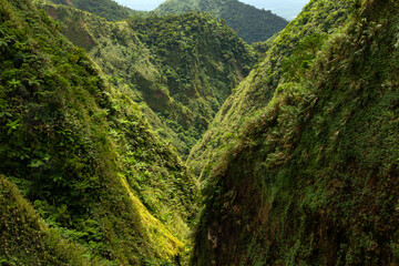 gorge in the tropical mountains illuminated by the sun and covered with dense rain forest