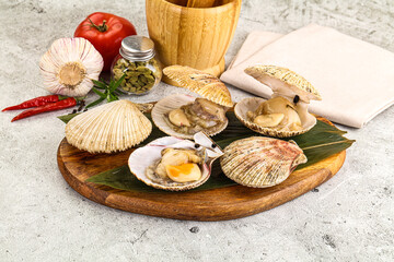 Raw fresh scallops in the shell
