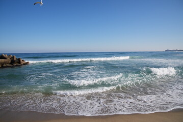 Korea's East Sea under heavy waves