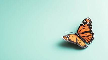 Fototapeta premium decorative butterfly ornament resting on matte turquoise background with faint light gradients