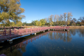 Yuanmingyuan Garden in Beijing during autumn.