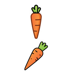 Cute Cartoon Carrots Orange and Green Vegetables