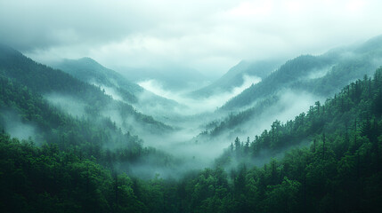 Obraz premium A misty mountain landscape with pine forests, foggy valleys, and soft lighting creating a serene and ethereal atmosphere