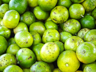 Fresh limes in the market