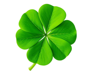 A beautiful four-leaf clover isolated against a transparent or white background, showcasing its unique and vibrant green leaves. Known as a symbol of good luck, this clover’s perfect shape and natural