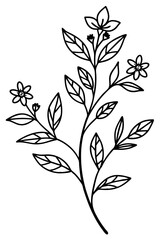 Fototapeta premium Trendy floral branch and minimalist flowers for logo or decorations. Hand drawn line wedding herb, elegant leaves for invitation save the date card. Botanical rustic trendy greenery