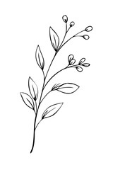 Trendy floral branch and minimalist flowers for logo or decorations. Hand drawn line wedding herb, elegant leaves for invitation save the date card. Botanical rustic trendy greenery