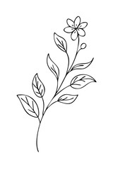 Trendy floral branch and minimalist flowers for logo or decorations. Hand drawn line wedding herb, elegant leaves for invitation save the date card. Botanical rustic trendy greenery