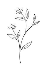 Trendy floral branch and minimalist flowers for logo or decorations. Hand drawn line wedding herb, elegant leaves for invitation save the date card. Botanical rustic trendy greenery
