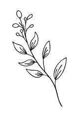 Trendy floral branch and minimalist flowers for logo or decorations. Hand drawn line wedding herb, elegant leaves for invitation save the date card. Botanical rustic trendy greenery