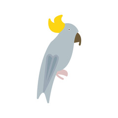 Parrot Vector Icon