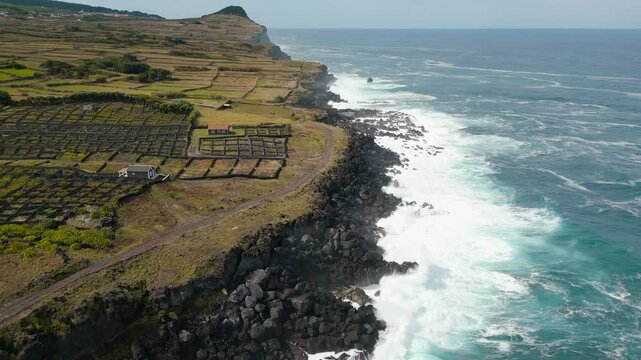 Biscoitos Vineyard Protected Landscape on volcanic soils with stonewalled fields in Terceira, Azores