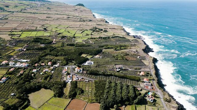Biscoitos Vineyard Protected Landscape on volcanic soils with stonewalled fields in Terceira, Azores