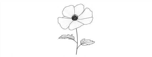 Elegant Line Art Drawing of a Single Poppy Flower with Stem and Leaves