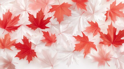Fototapeta premium Vibrant red maple leaves on white background, ideal for autumn designs and seasonal projects