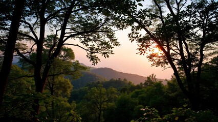 Obraz premium Serene Sunset Through Forest Canopy Mountain Vista