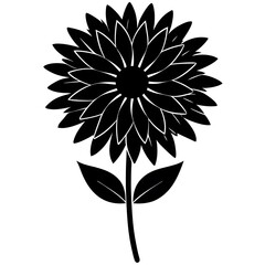 black and white flower