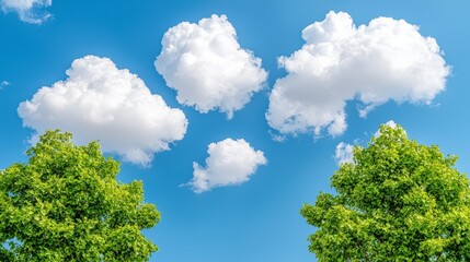 Obraz premium Group of green trees under a clear blue sky with a few clouds in the background