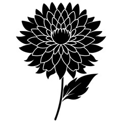 illustration of a flower