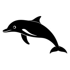 dolphin isolated on white background
